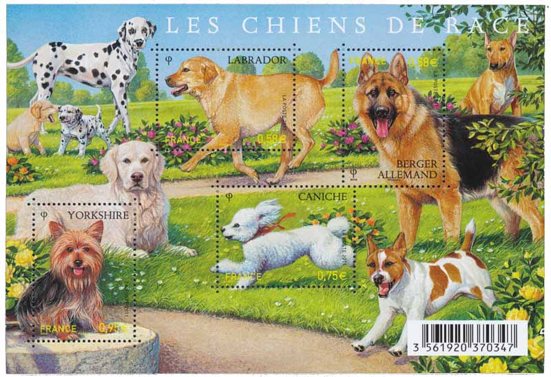 Bloc : 2011 Les chiens de race