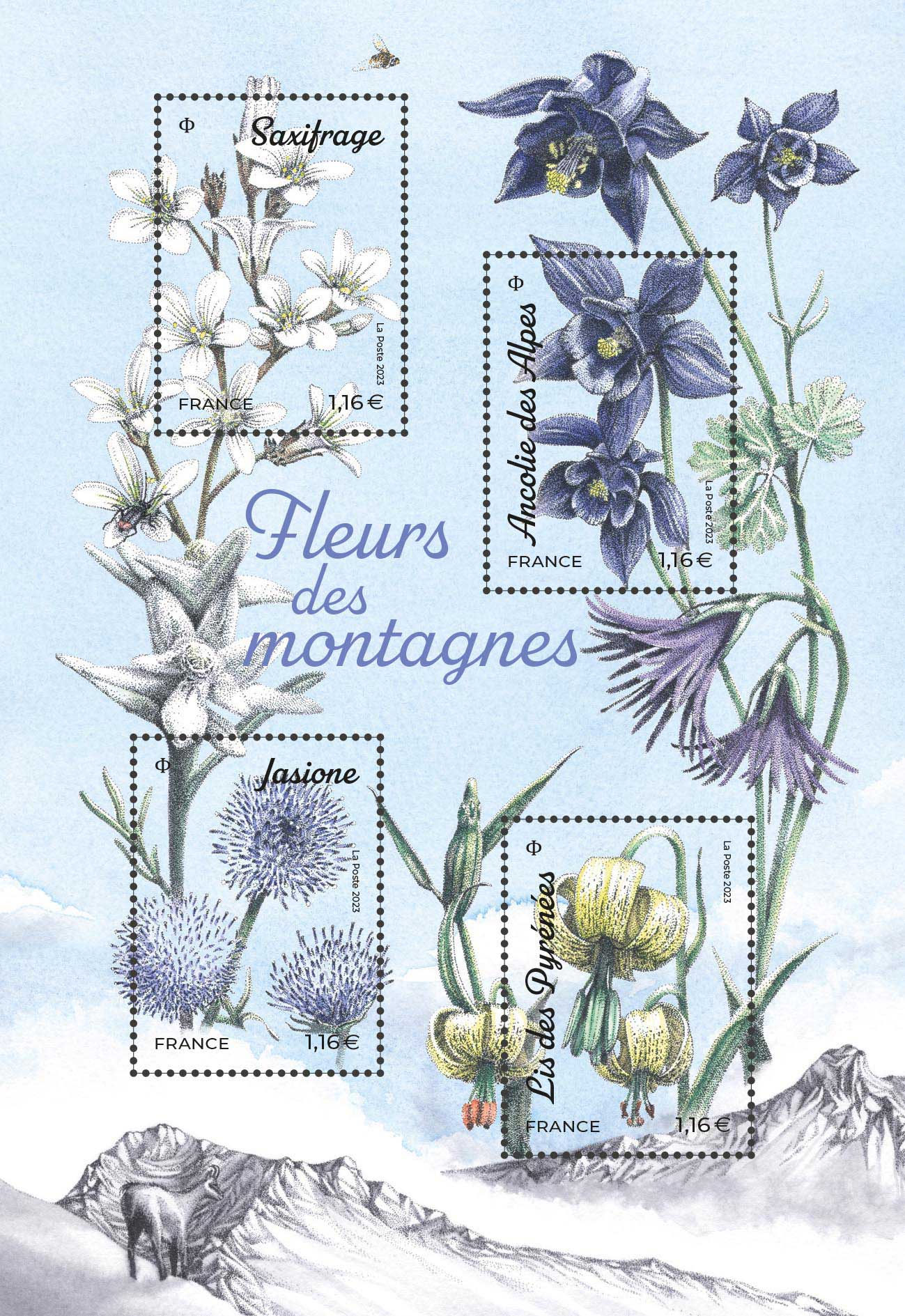 Bloc : FLEURS DES MONTAGNES