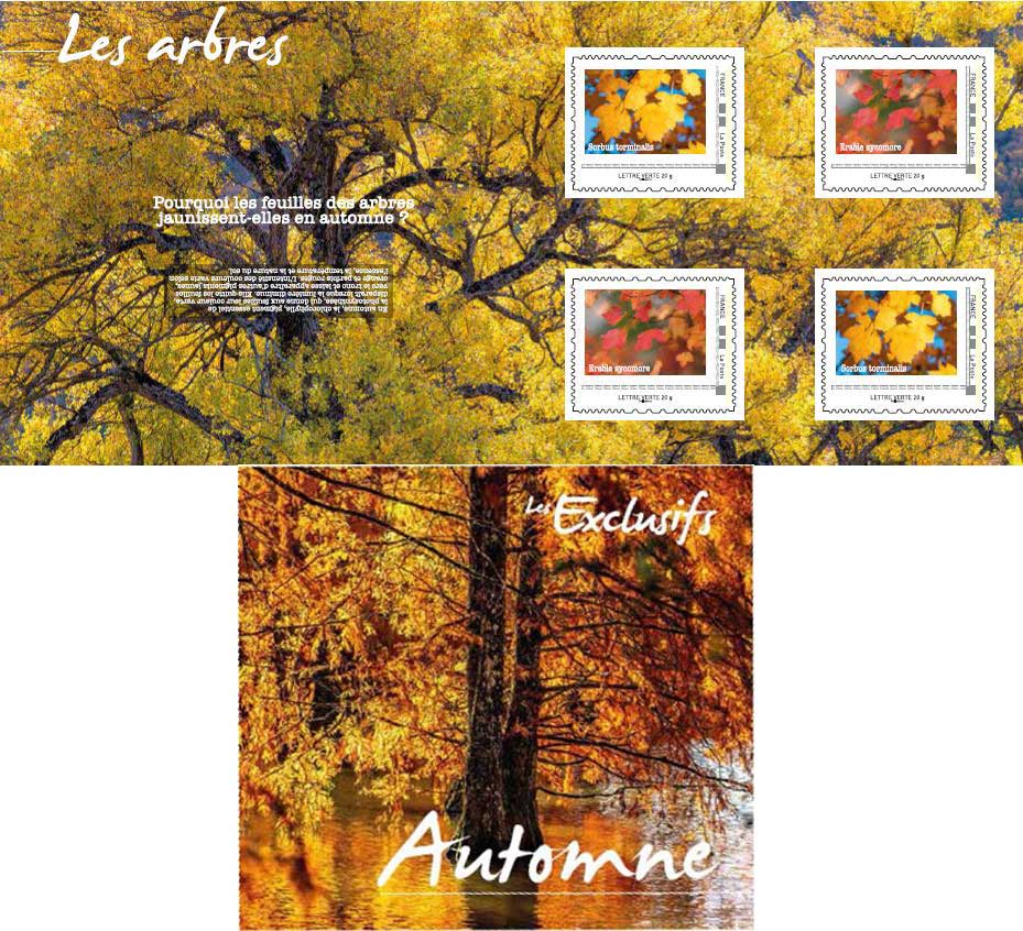 Collector : Arbres en automne