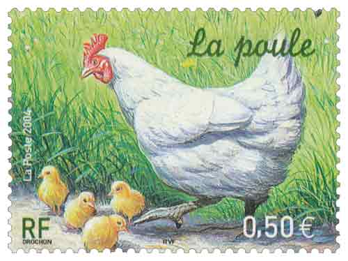 Timbre : La poule