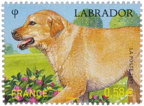 Timbre : 2011 LABRADOR