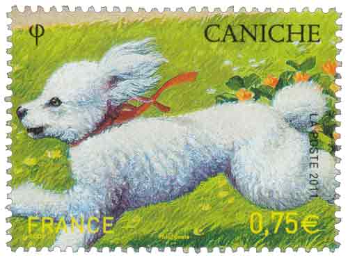 Timbre : 2011 CANICHE