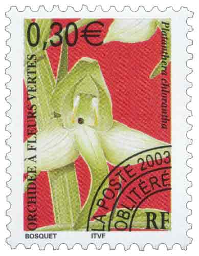 Timbre : ORCHIDÉE À FLEURS VERTES Platanthera chlorantha