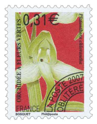 Timbre : ORCHIDÉE À FLEURS VERTES Platanthera chlorantha